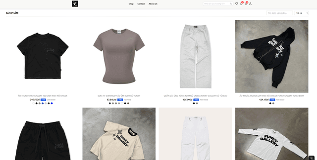 Client Funky Website